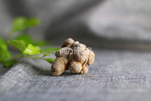 經(jīng)濟條件一般買30頭三七 經(jīng)濟條件一般買30頭三七