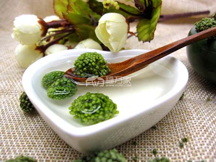 綠色三七花 綠色三七花