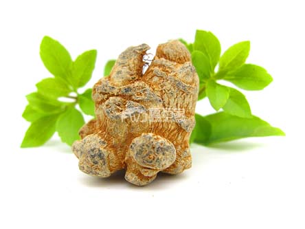 20頭三七 20頭三七