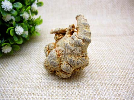 30頭三七 30頭三七