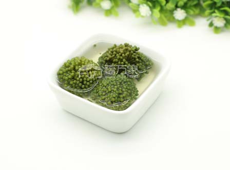 品牌三七花 品牌三七花