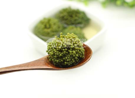 品牌三七花 品牌三七花