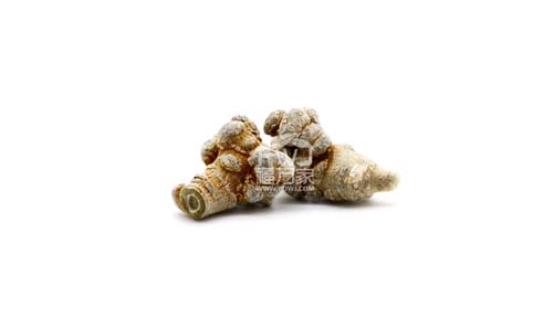 曬干的三七 曬干的三七