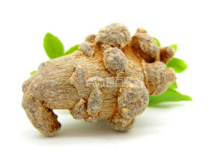 大個頭三七 大個頭三七