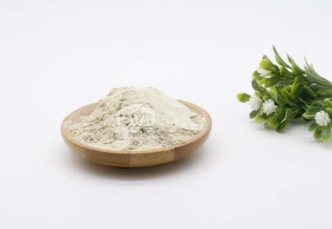 三七粉飯前吃 三七粉飯前吃