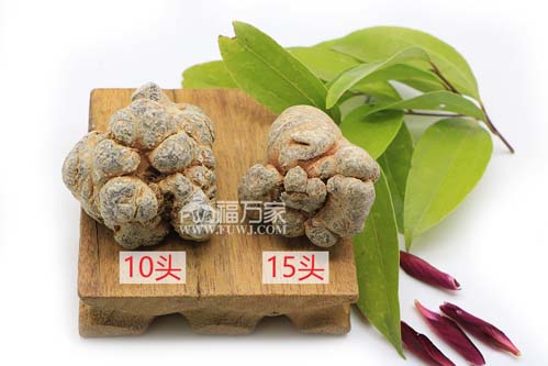 10頭三七 10頭三七