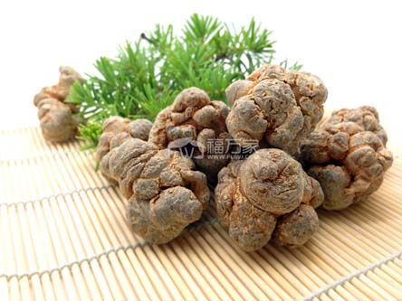 小孩能吃三七粉嗎 小孩能吃三七粉嗎