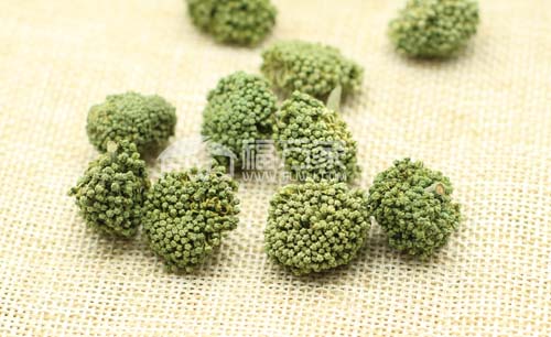 三七花能天天喝