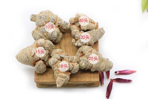 20頭三七 20頭三七