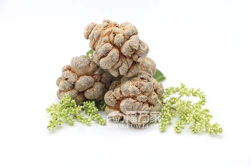 40頭三七 40頭三七