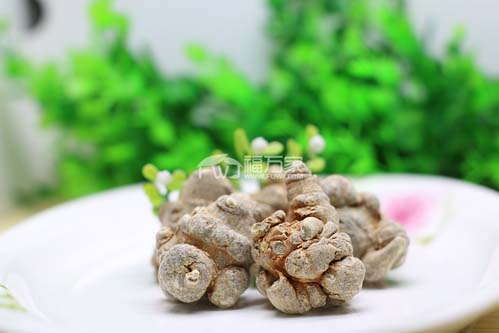 三七的功效 三七的功效