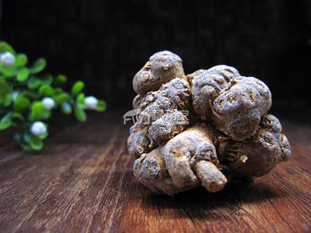 三七的批發價格 三七的批發價格