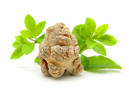 文山三七批發 文山三七批發