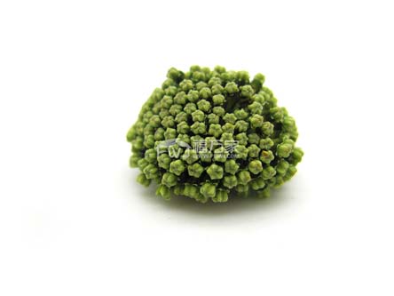 好的三七花什么樣 好的三七花什么樣