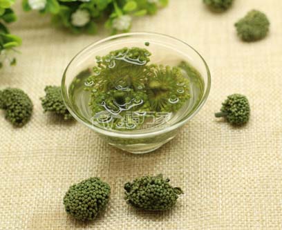 三七花怎么沖泡喝 三七花怎么沖泡喝