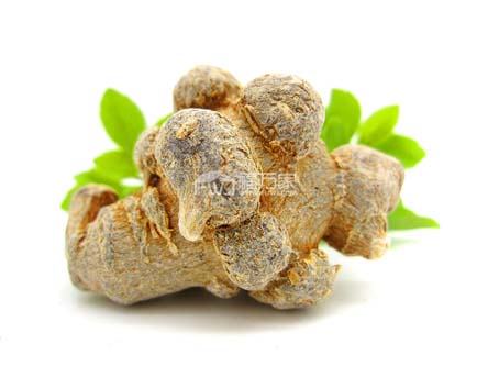 三七買幾頭的好 三七買幾頭的好