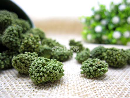 三七花是涼性 三七花是涼性