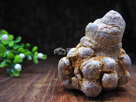 云南文山三七訂購(gòu)和批發(fā) 云南文山三七訂購(gòu)和批發(fā)