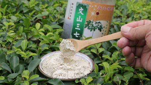 吃三七粉能加天麻同吃 吃三七粉能加天麻同吃