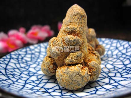 三七個頭大的最好 三七個頭大的最好