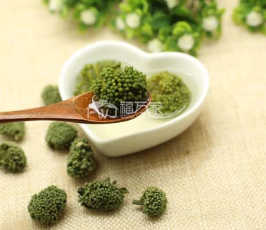 云南三七花 云南三七花