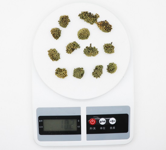 10克三七花 10克三七花