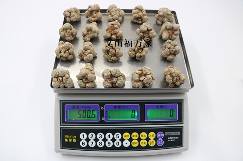 20頭的三七 20頭的三七