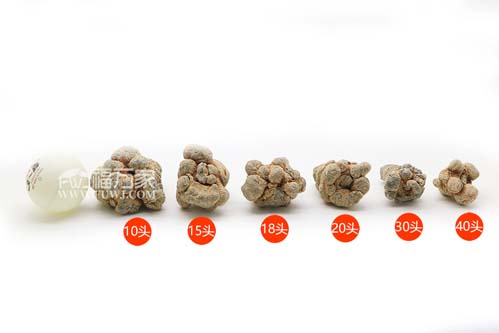 適合女人的三七 適合女人的三七