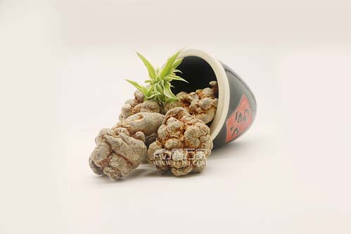 三七怎么挑選 三七怎么挑選