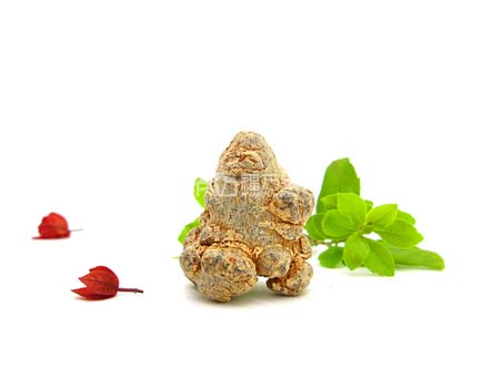 三七的種植 三七的種植