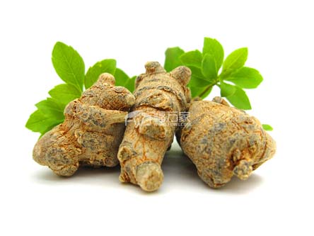 三七什么時間買 三七什么時間買