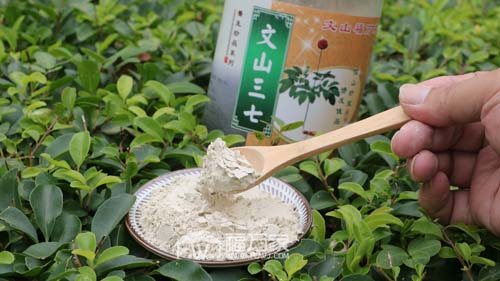 三七的用法有哪些 三七的用法有哪些