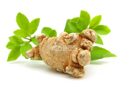 好的三七與不好的區分方法 好的三七與不好的區分方法