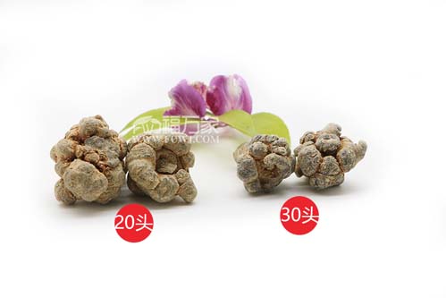 三七哪種好 三七哪種好