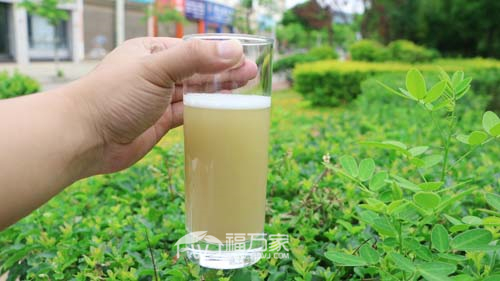 泡三七粉加多少水 泡三七粉加多少水