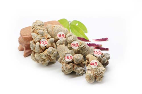 幾頭三七好 幾頭三七好