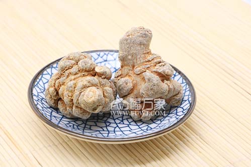 自己種三七很難 自己種三七很難