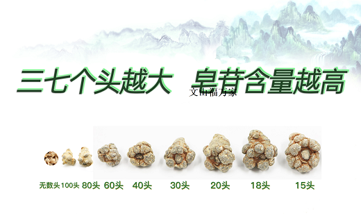 常見(jiàn)的三七頭數(shù) 常見(jiàn)的三七頭數(shù)