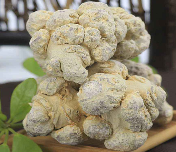 凍干三七是更好嗎 凍干三七是更好嗎