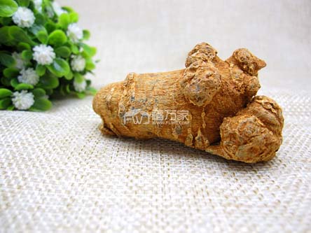 文山三七 文山三七