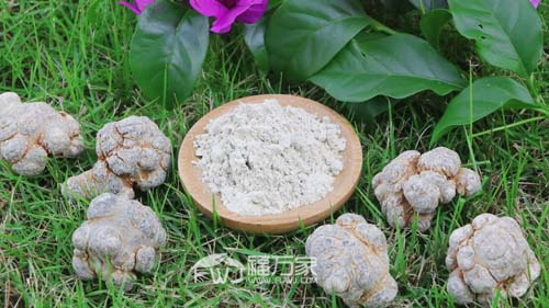 血壓低能吃三七粉 血壓低能吃三七粉