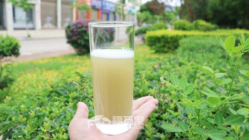 三七粉能補(bǔ)血 三七粉能補(bǔ)血