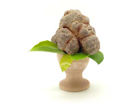 種三七的地要休養(yǎng) 種三七的地要休養(yǎng)