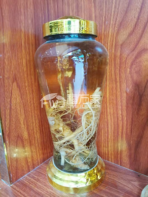 三七泡酒 三七泡酒