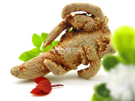 三七可以煲瘦肉