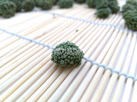 三七粉配三七花 三七粉配三七花