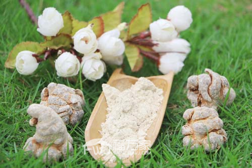 吃三七粉注意什么