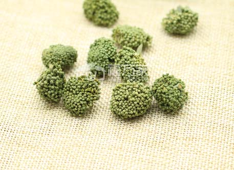 三七花是涼性 三七花是涼性