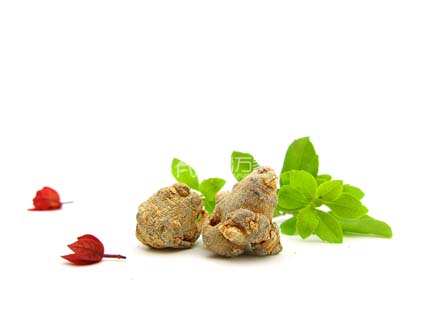 三七可以炒來吃